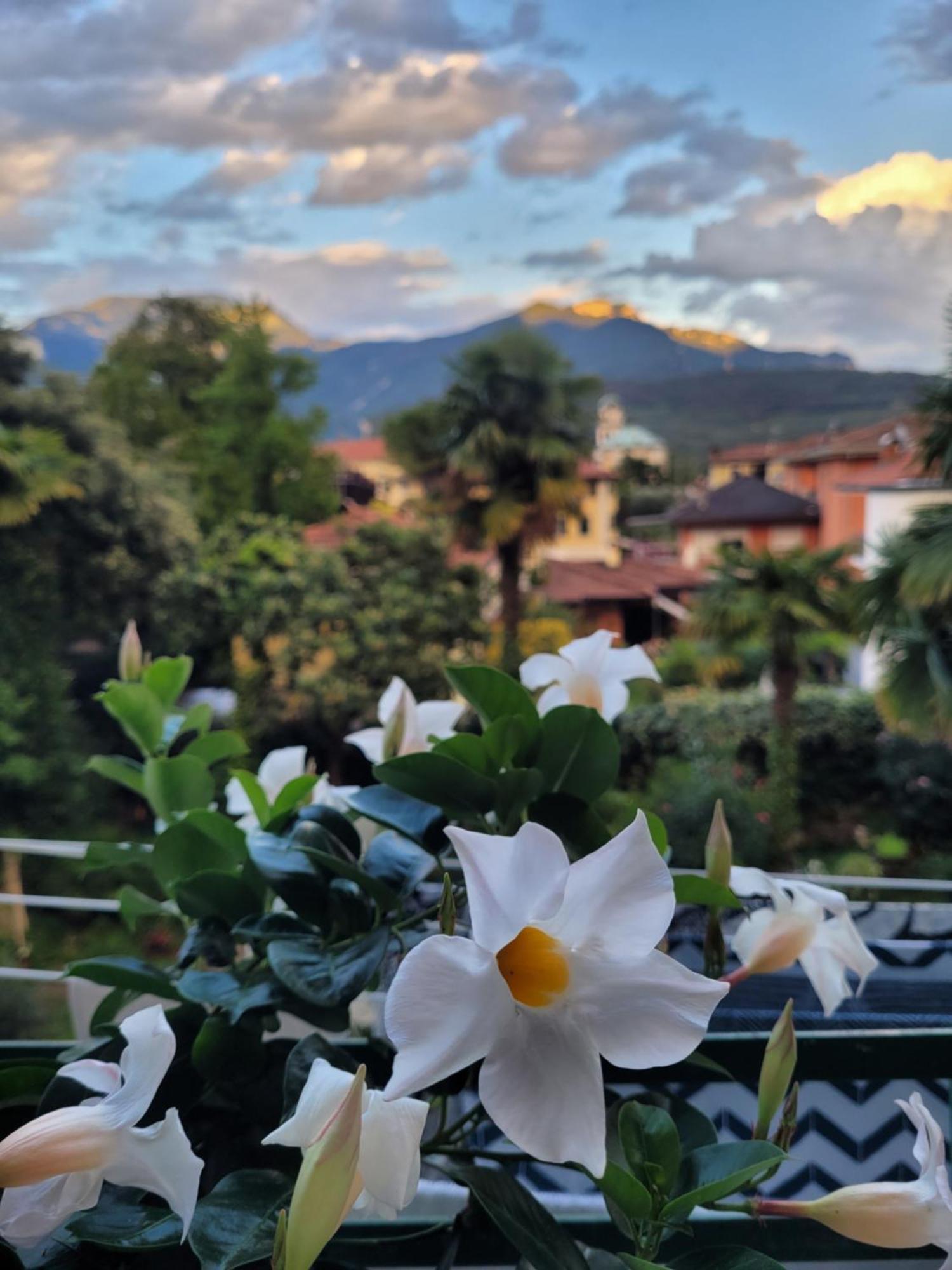 B&B Dal Nonno ริวาเดลการ์ดา ภายนอก รูปภาพ